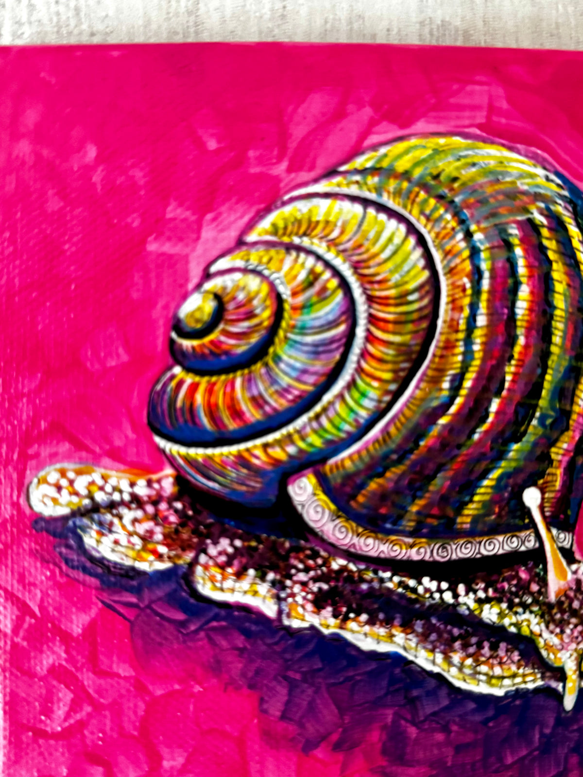colorofoc-helix-snail-painting-original-acrylic-on-canvas-ingrida-tautkute-detailed-closed-up-colorful-contemporary-spiritual-wall-art