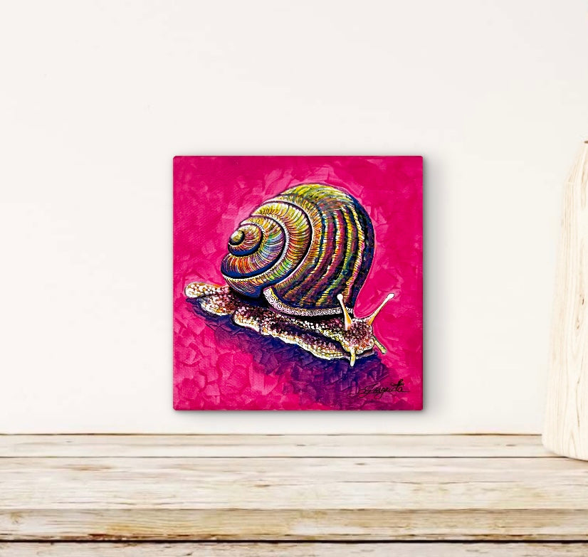 colorofoc-helix-snail-painting-original-acrylic-on-canvas-ingrida-tautkute-wall-art-interior-view-handmade-pink